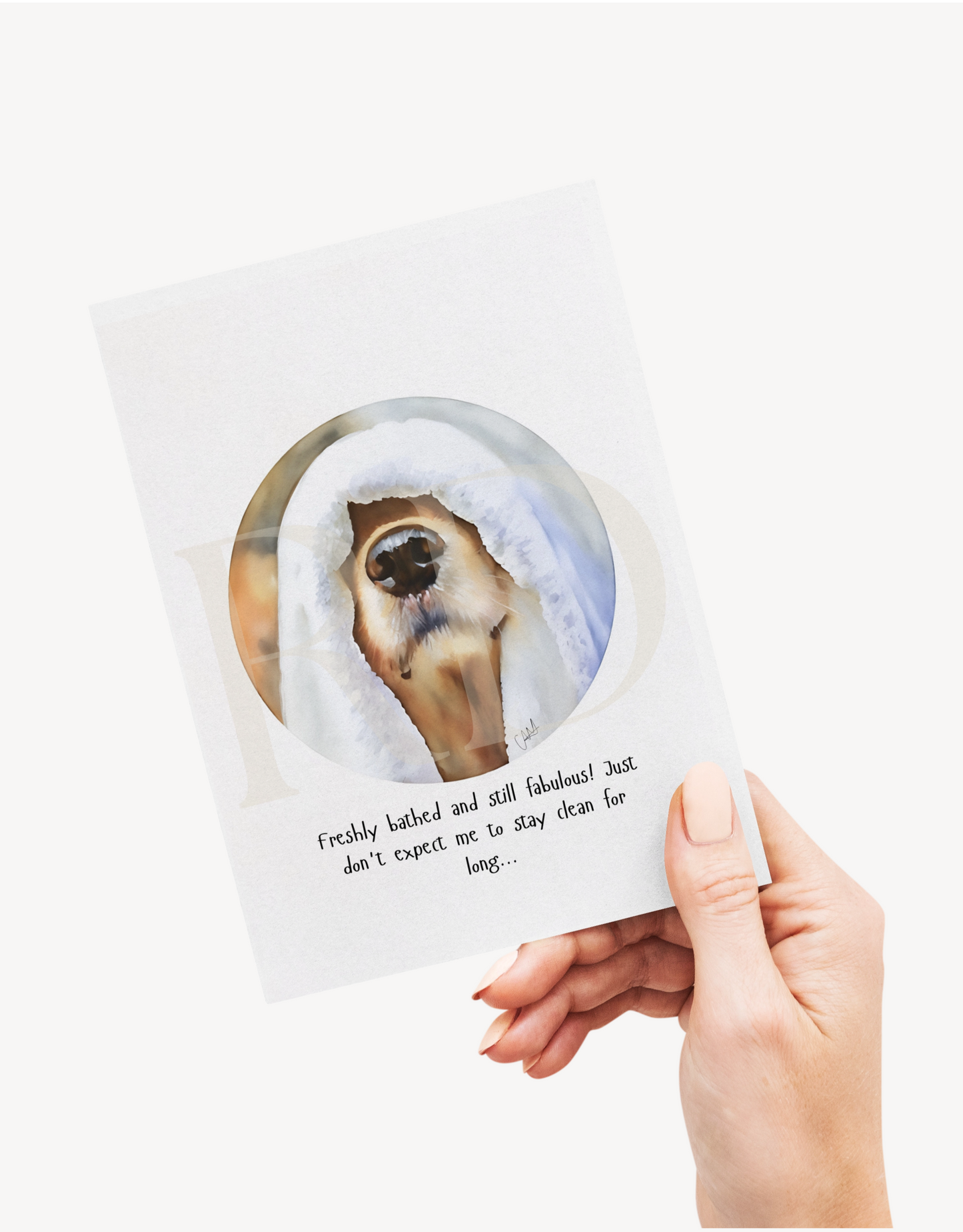 Bathed dog card